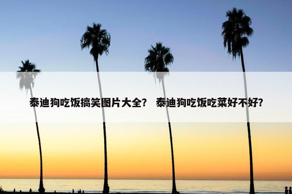 泰迪狗 第15页