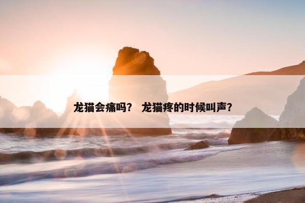 龙猫会痛吗？ 龙猫疼的时候叫声？