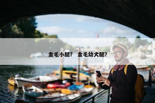 金毛小腿？ 金毛幼犬腿？