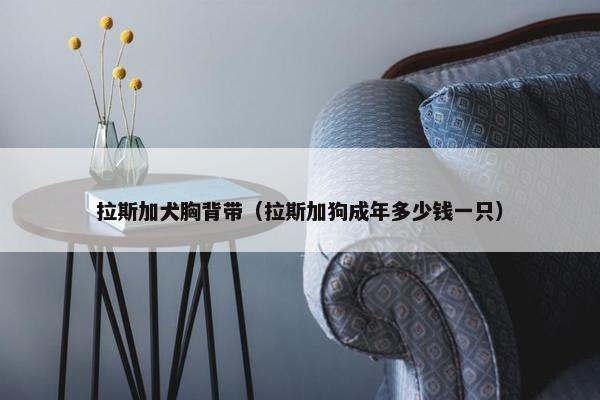拉斯加犬胸背带（拉斯加狗成年多少钱一只）