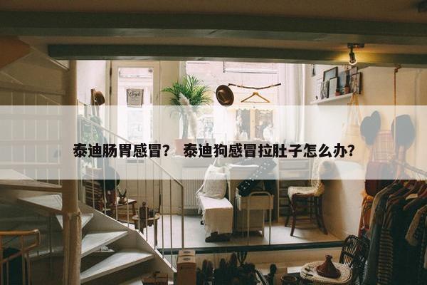 泰迪肠胃感冒？ 泰迪狗感冒拉肚子怎么办？