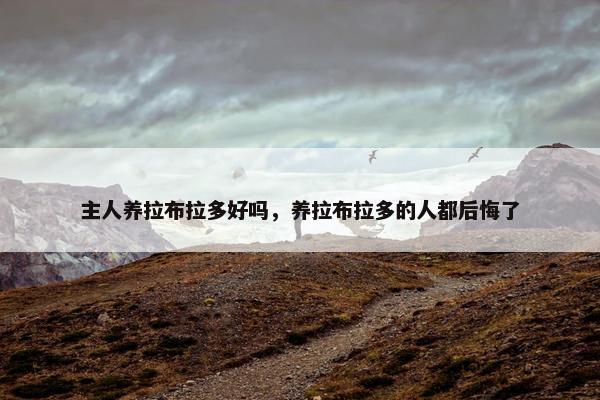 主人养拉布拉多好吗，养拉布拉多的人都后悔了