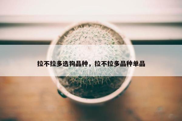 拉不拉多选狗品种，拉不拉多品种单品