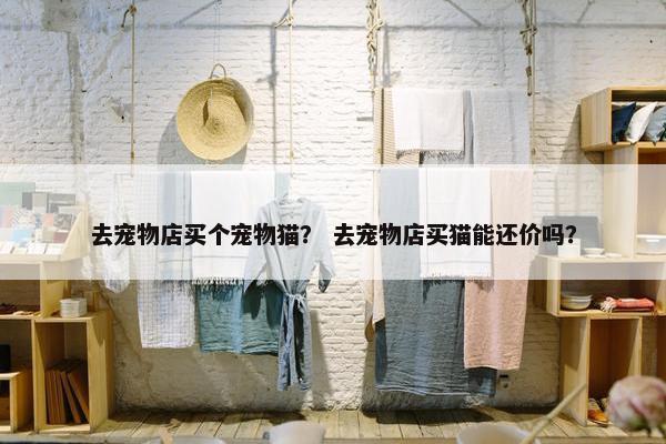 去宠物店买个宠物猫? 去宠物店买猫能还价吗?