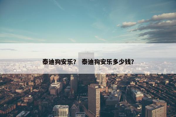泰迪狗安乐? 泰迪狗安乐多少钱?