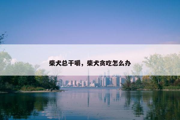 柴犬总干嚼，柴犬贪吃怎么办