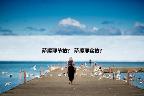 萨摩耶节拍？ 萨摩耶实拍？