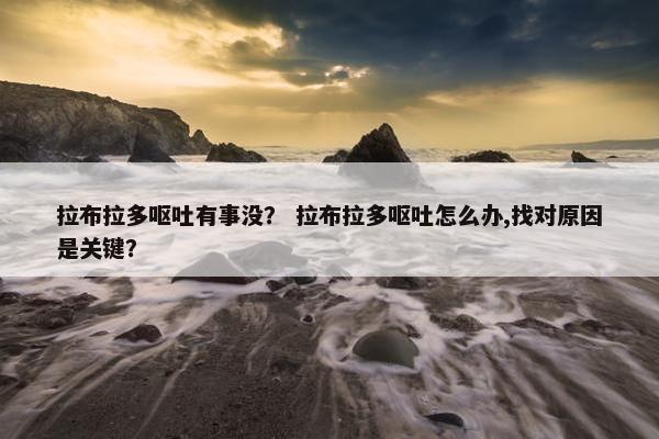 拉布拉多呕吐有事没？ 拉布拉多呕吐怎么办,找对原因是关键？