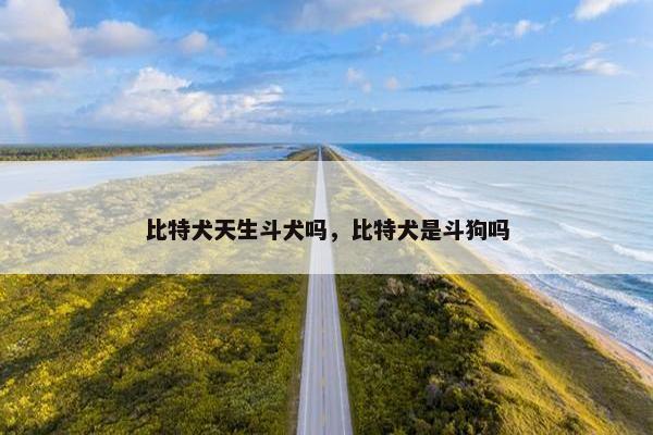 比特犬天生斗犬吗，比特犬是斗狗吗