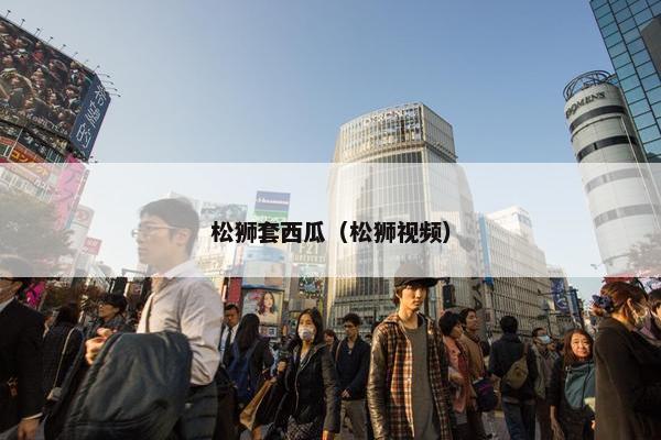 松狮套西瓜（松狮视频）