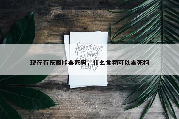 硫酸铜