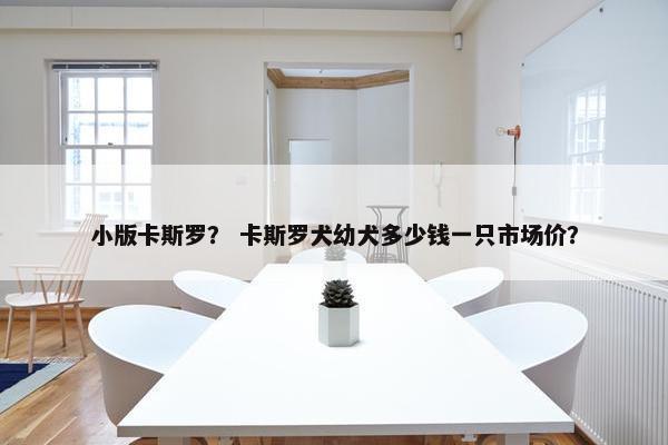 小版卡斯罗？ 卡斯罗犬幼犬多少钱一只市场价？