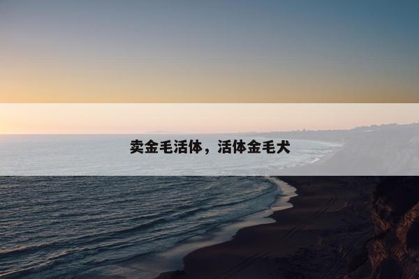 狗市 第2页