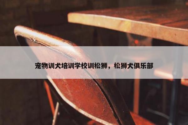 宠物训犬培训学校训松狮，松狮犬俱乐部