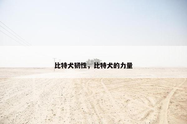 比特犬韧性，比特犬的力量