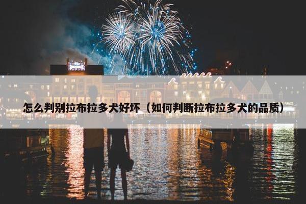 怎么判别拉布拉多犬好坏（如何判断拉布拉多犬的品质）