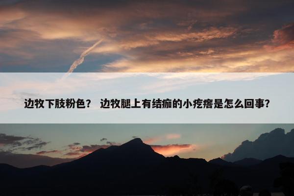 边牧下肢粉色？ 边牧腿上有结痂的小疙瘩是怎么回事？