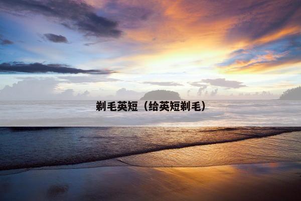 剃毛英短（给英短剃毛）