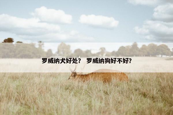 罗威纳犬好处? 罗威纳狗好不好?
