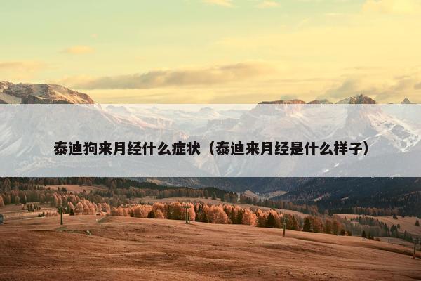 泰迪狗来月经什么症状（泰迪来月经是什么样子）