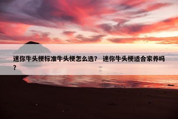 迷你牛头梗标准牛头梗怎么选？ 迷你牛头梗适合家养吗？