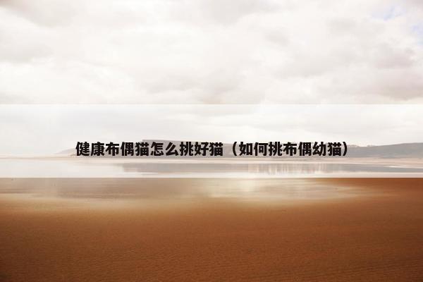 健康布偶猫怎么挑好猫（如何挑布偶幼猫）