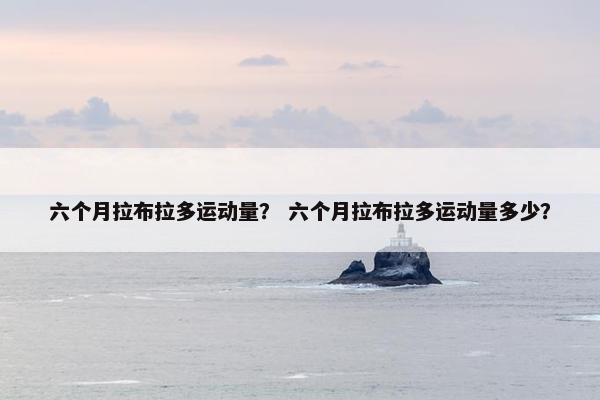 六个月拉布拉多运动量？ 六个月拉布拉多运动量多少？