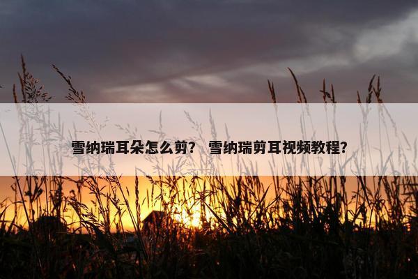 雪纳瑞耳朵怎么剪？ 雪纳瑞剪耳视频教程？
