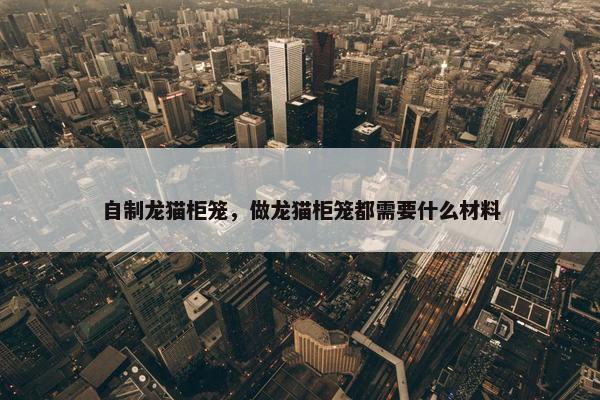 自制龙猫柜笼,做龙猫柜笼都需要什么材料
