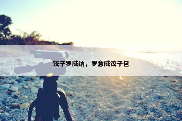 饺子罗威纳，罗意威饺子包