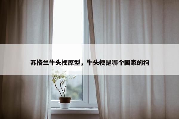 苏格兰牛头梗原型，牛头梗是哪个国家的狗
