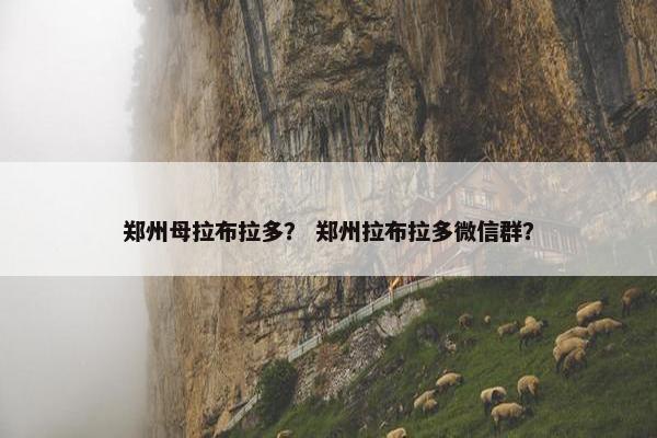 郑州母拉布拉多？ 郑州拉布拉多微信群？