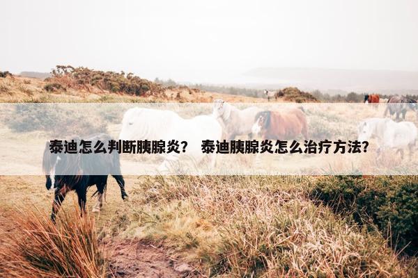 泰迪怎么判断胰腺炎？ 泰迪胰腺炎怎么治疗方法？