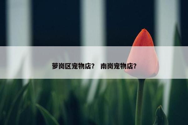 黄埔区