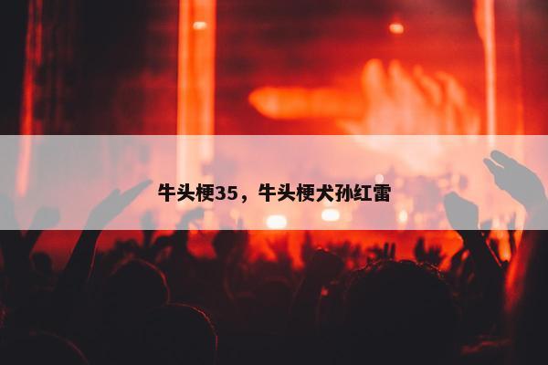 牛头梗35，牛头梗犬孙红雷