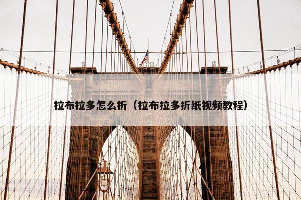 拉布拉多怎么折（拉布拉多折纸视频教程）