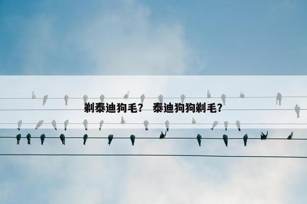 剃泰迪狗毛？ 泰迪狗狗剃毛？