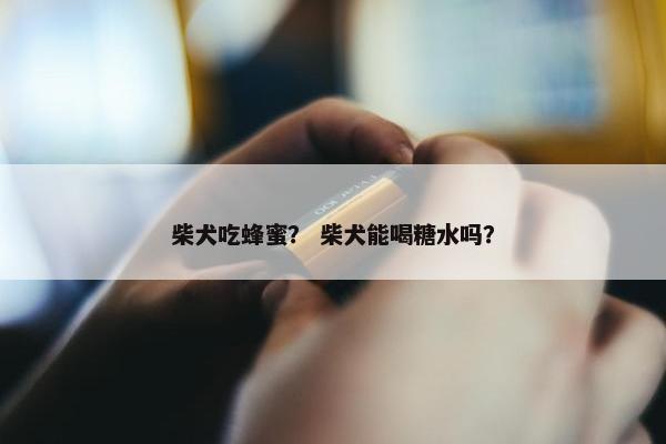 柴犬吃蜂蜜？ 柴犬能喝糖水吗？