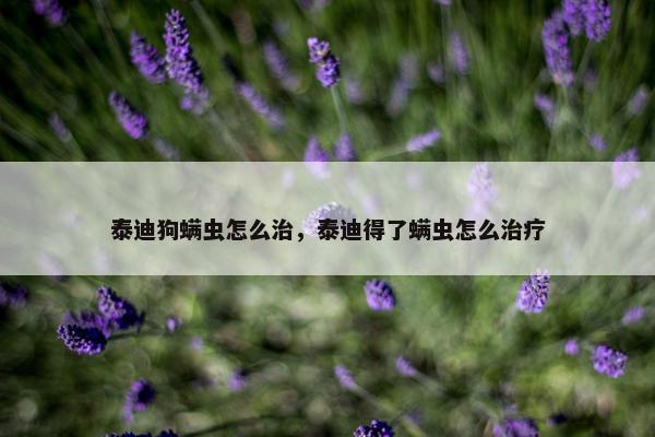 泰迪狗螨虫怎么治，泰迪得了螨虫怎么治疗