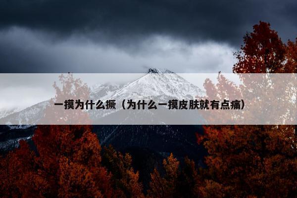 一摸为什么撅（为什么一摸皮肤就有点痛）