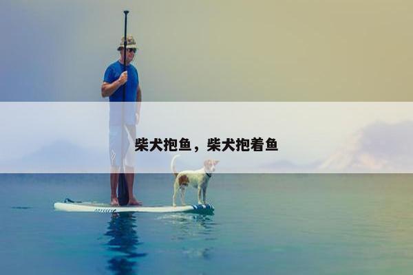 柴犬抱鱼，柴犬抱着鱼
