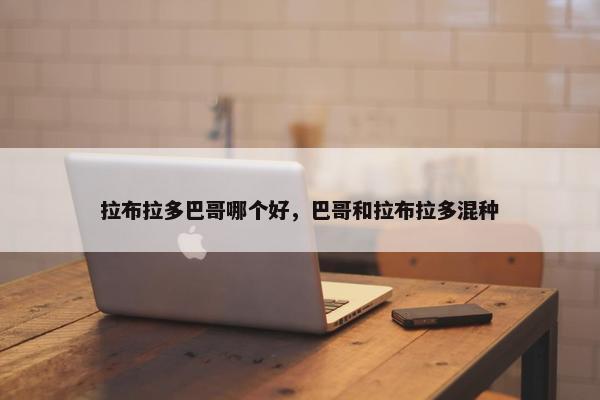 拉布拉多巴哥哪个好,巴哥和拉布拉多混种