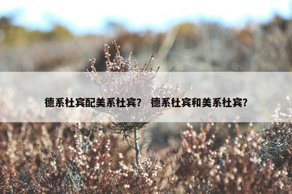 德系杜宾配美系杜宾？ 德系杜宾和美系杜宾？