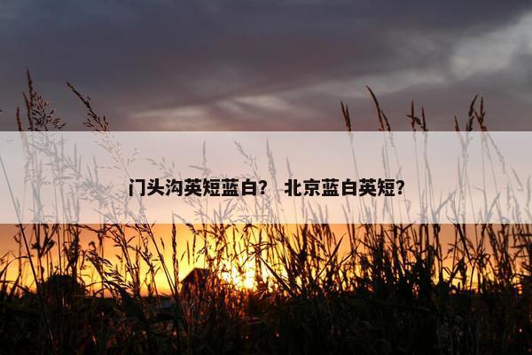 门头沟英短蓝白？ 北京蓝白英短？