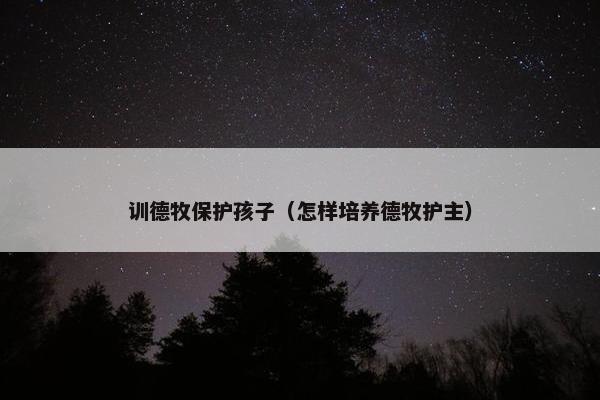 训德牧保护孩子（怎样培养德牧护主）