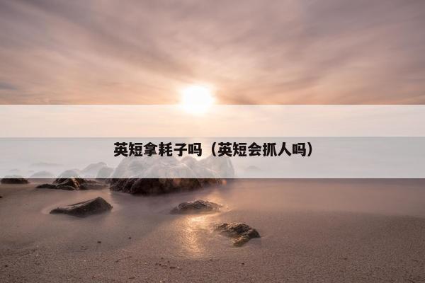 英短拿耗子吗（英短会抓人吗）