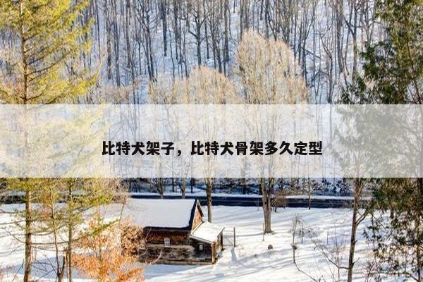 比特犬架子，比特犬骨架多久定型