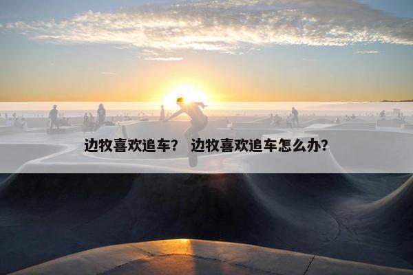 边牧喜欢追车？ 边牧喜欢追车怎么办？