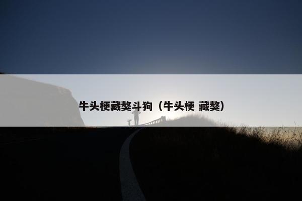 牛头梗藏獒斗狗（牛头梗 藏獒）