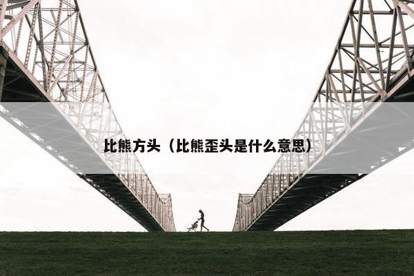 比熊方头（比熊歪头是什么意思）
